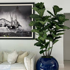 Blue globe vase with fiddle leaf fig – The Ever Botanic