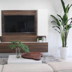 Bird of Paradise Plant (2.7 m) with Ben Planter in Glossy White – The Ever Botanic