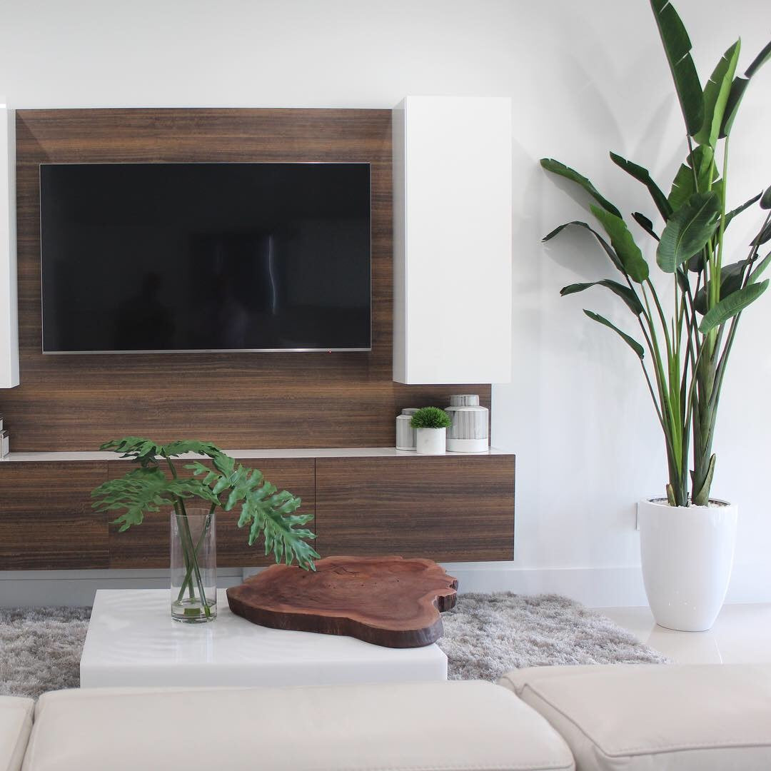 9-Foot Bird of Paradise with Glossy White Planter – The Ever Botanic