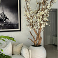 White Magnolia Tree in 126 cm Shiny White Globe Pot – The Ever Botanic